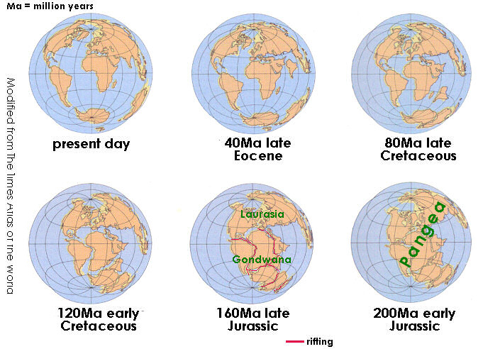 Global tectonic plate movements during the last 250 million years