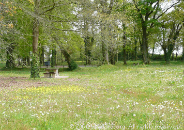 Have a picnic amongst the wildflowers and arboral shade.