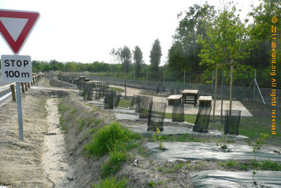 picnic tables and new plantings