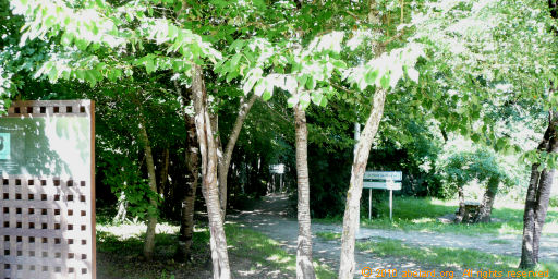 Wooded walkway to subterranean ehibition room