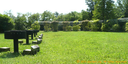 Lawn, showing the pergola and the zeotropes