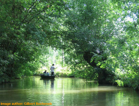 Poitevin marsh. Image author: Gilbert Bochenek