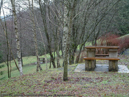 picnic area amongst the birch trees, downhill from the motorway.