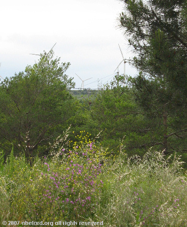 View from the Sigean aire.