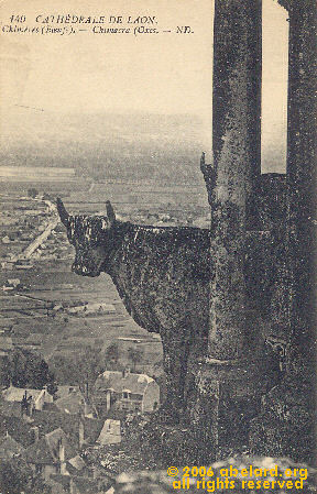 A bullock watching over the fertile valleys below.