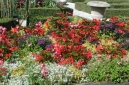 A planting at Futuroscope