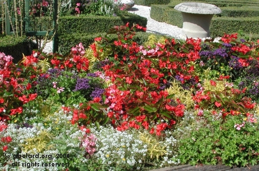 Colourful flowerbed, typical at Futuroscope