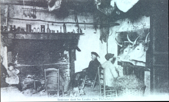 Interior of a Landais dwelling, with cattle.