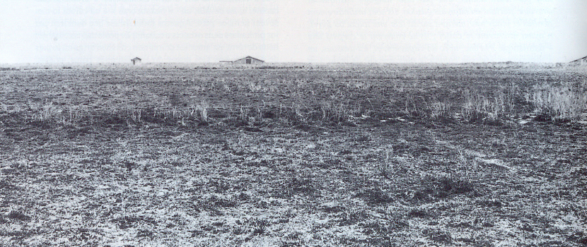 Les Landes - the Moor; before the industrial pine forest was planted systematically from the mid-19th century.