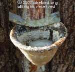 Close-up of a resin pot, showing the white resin within.