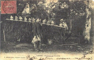 French black and white postcard. Postmarked 1905.