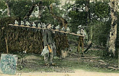 Same French black and white postcard that is now coloured. Pre-1917 stamp.