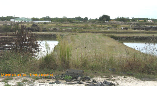 oyster farming landscape