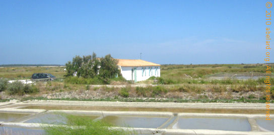 salt beds on the Ile de Ré