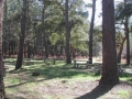 picnic area in France - click for larger image