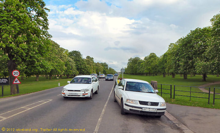 Horse chestnut avenue at Bushey Park