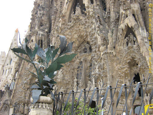 Wrought ironwork and textured stone facade of the Sagrada Familia