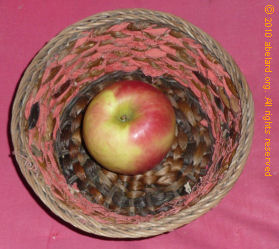 an apple in a basket
